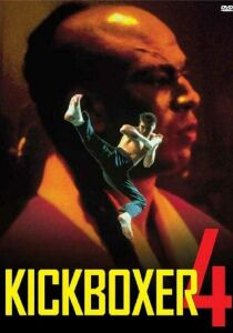 Kickboxer 4 - L'aggressore streaming