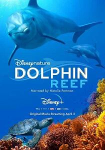 Dolphin Reef - Echo, il delfino streaming