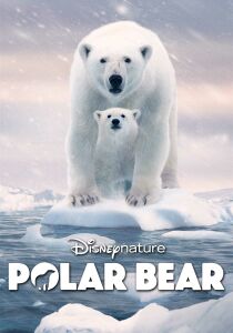 Polar Bear streaming