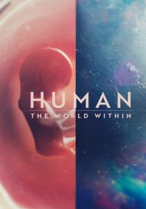 Human: il mondo dentro di noi streaming