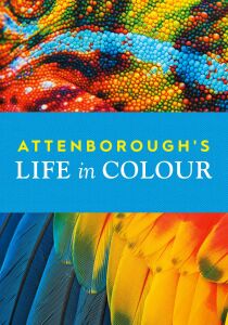 David Attenborough - La vita a colori streaming