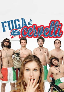 Fuga di cervelli streaming