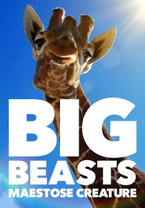 Big Beasts - Maestose creature streaming