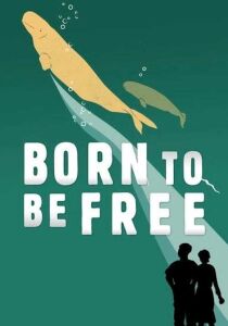 Born to Be Free [Sub-ITA] streaming