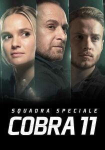 Squadra Speciale Cobra 11 streaming